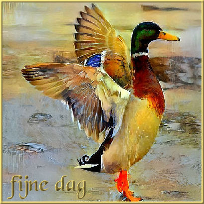 fijne dag.jpg