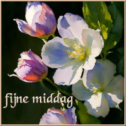 fijne middag.jpg